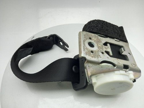Ford focus seat belt left - ford,