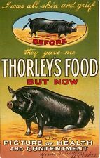 THORLEYS FOOD PIG PORKER - BEAMISH ARCHIVE POSTCARD