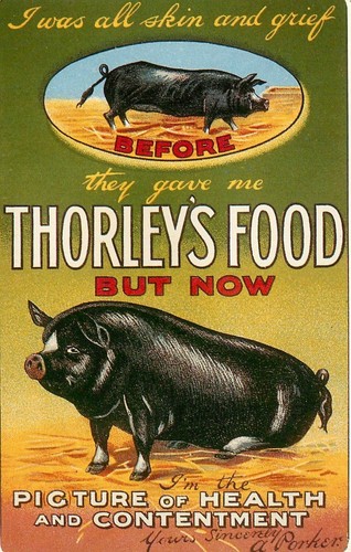 Thorleys food pig porker - thorleys,