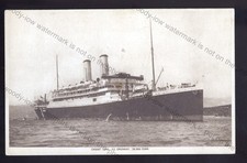 LS4635 - Orient Line Liner -