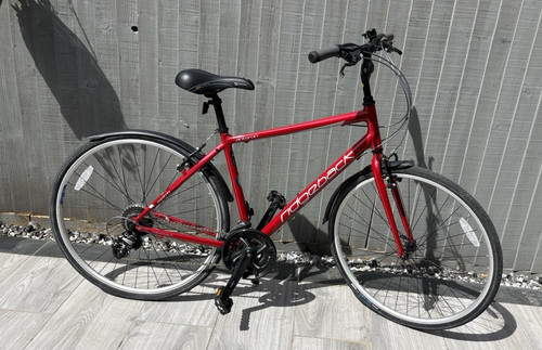 Immaculate ridgeback 19in
