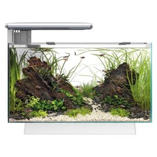 Superfish Quadro 40 multi-colour LED aquarium / fish tank with filter and heater