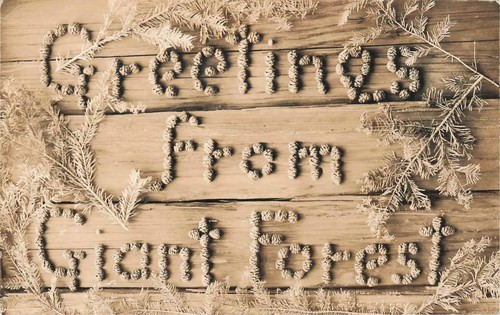 Rppc greetings from giant - greetings,