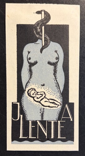 Libris medizin frau embryo - libris,