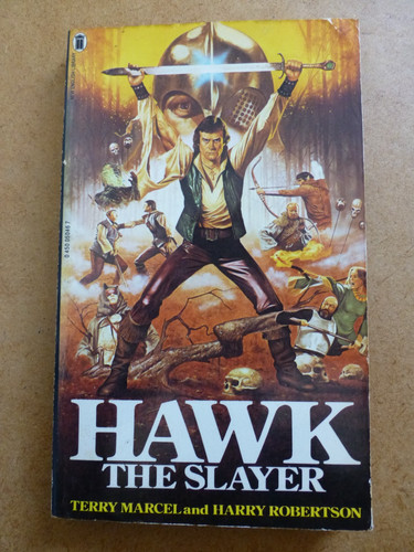 Hawk the slayer novel terry - hawk,