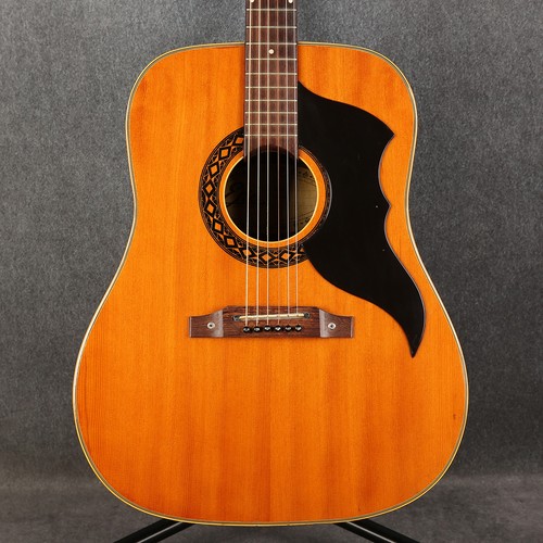 Eko 70s ranger - eko, dreadnought