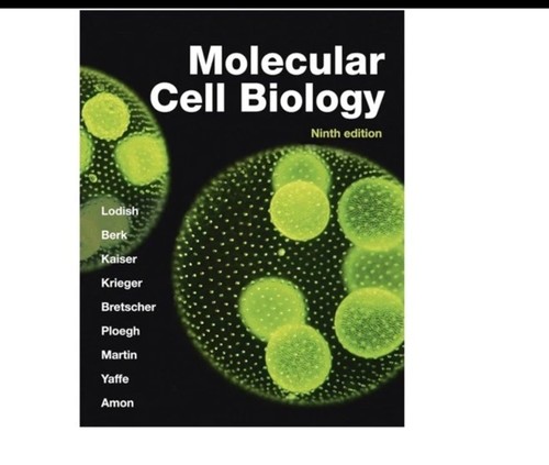 Molecular cell biology - cell,