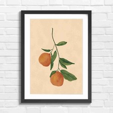 Botanical Orange Branch