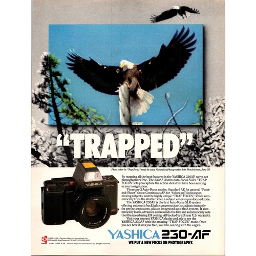 Yashica 230af slr trap - slr's, focus