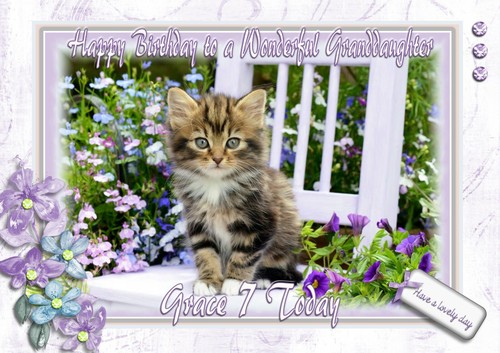 Personalised birthday card cat - birthday,
