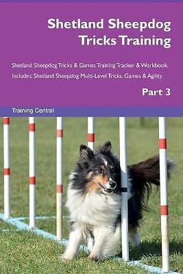 Shetland sheepdog tricks - shetland,