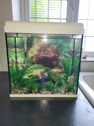 Litre fishtank white - fishtank,
