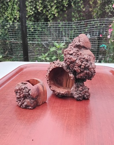 Burr elm yew - ornament, with