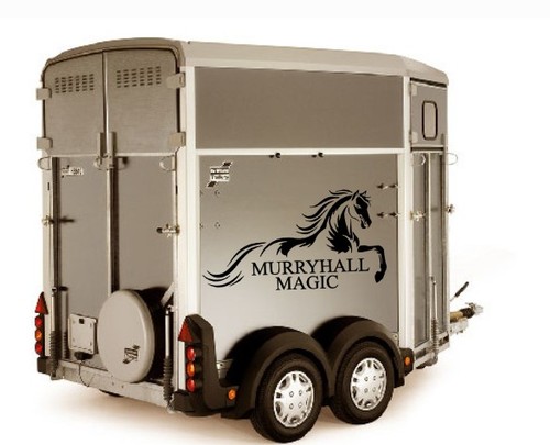 Personalised horse logo - logo,