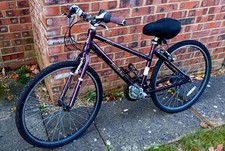  Pendleton Brooke Ladies Girls