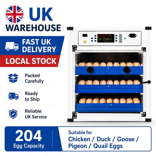 Automatic egg incubator - egg, 204