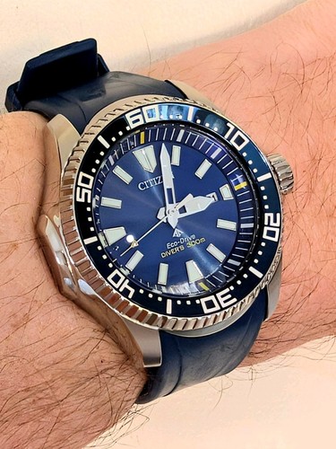 Citizen promaster dive - promaster, watch