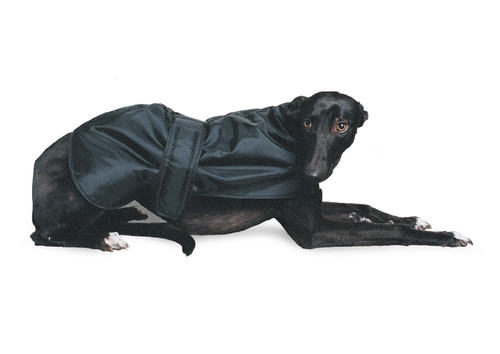 Ancol greyhound coat black - ancol,