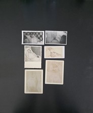RARE Antique Post-Mortem