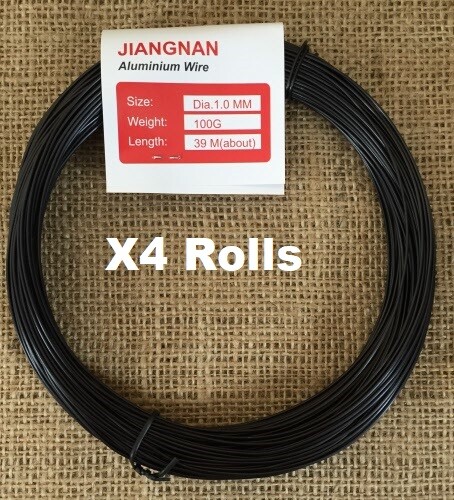 Rolls 100g aluminium - x4,