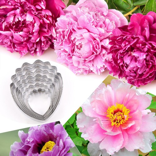 Peony flower cutting mold - peony,