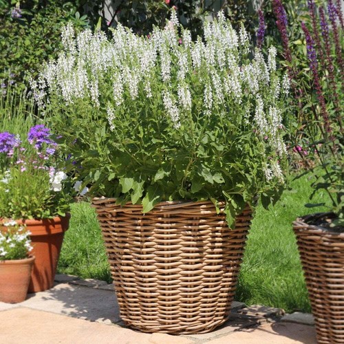 Grey buff round rattan - grey,