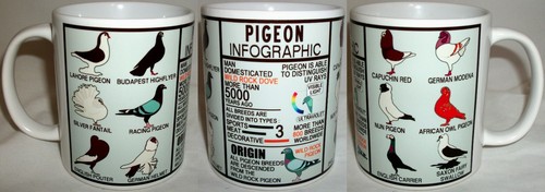 Pigeons infographic novelty - infographic,