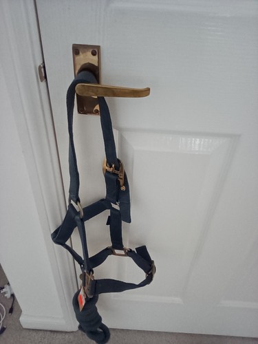 Cameo headcoller leadrope - cameo,