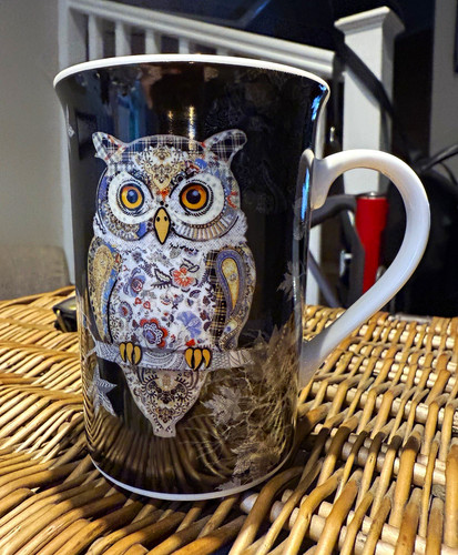 Bug art fine china owl - art, mug