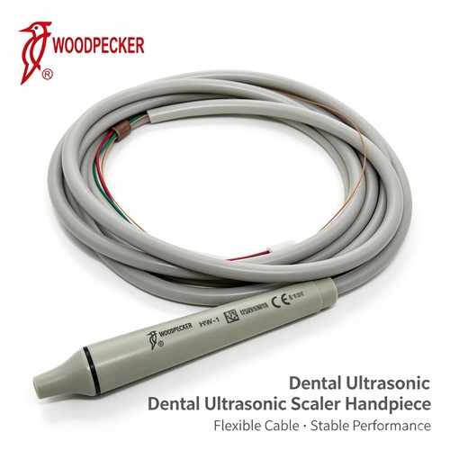 Woodpecker dental - hw-1,