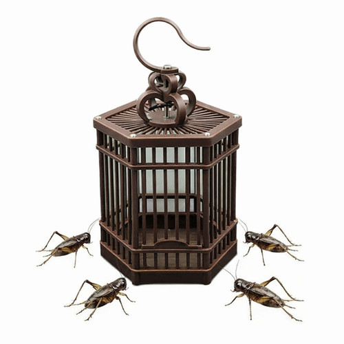 Plastic grasshopper cage - grasshopper,