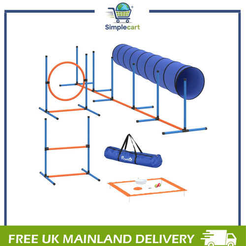Dog agility training - dog,