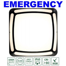 LED 2D Light Emergency Fitting