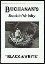 Buchanans Black & White Whisky