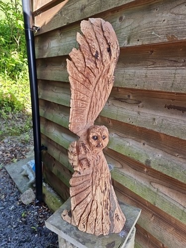 Chainsaw carved owl - carved, in