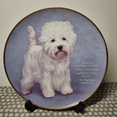 Westie always true a - always, true"
