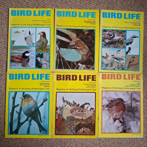 Rspb bird life magazines - life,