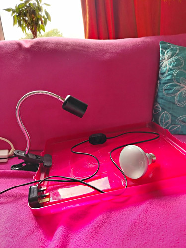 Black flexible lamp for - black,