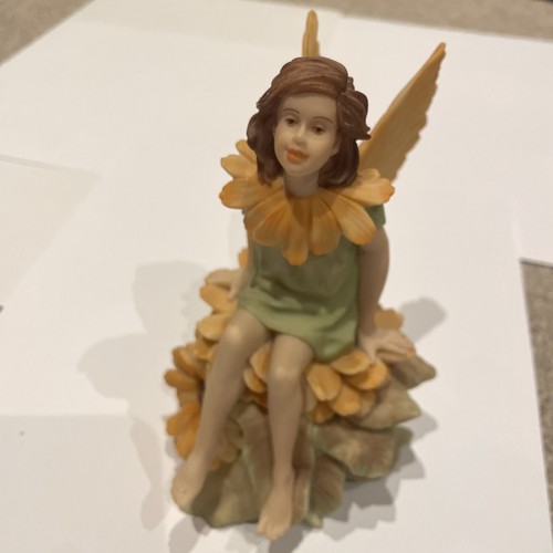 The flower fairies marigold - the,
