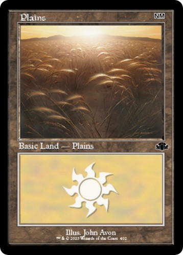 Plains nm - plains,