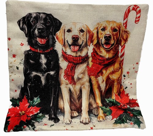 Labrador dog trio holiday - labrador,