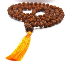 10 TEN MUKHI PREMIUM GURU BEAD
