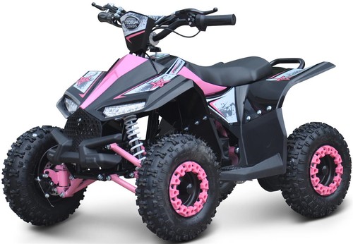 Renegade ranger 1000w 36v - ranger,