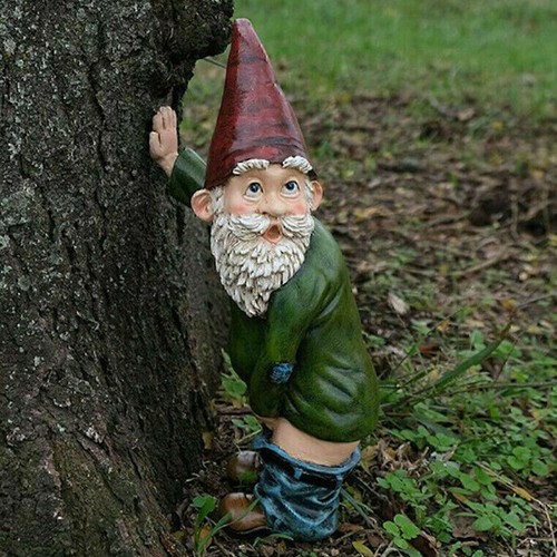 Old man fairy - old, naughty