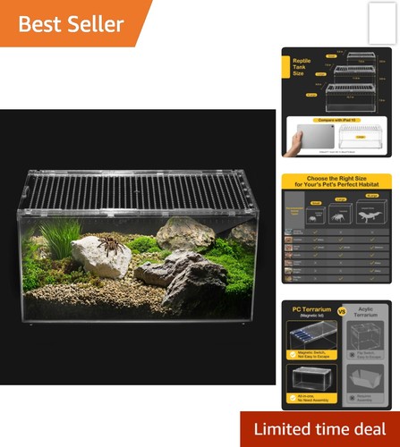 Reptile terrarium - terrarium,