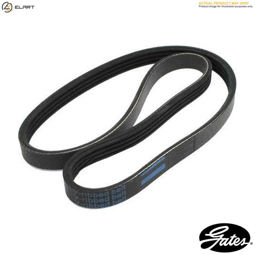 Vribbed belt 6pk900 - belt,