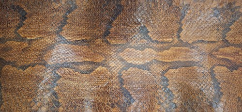 Foot tanned boa - 12-foot,