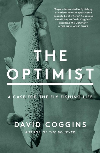 The optimist case for - optimist:,