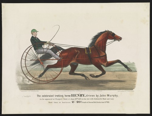 Henry trotting horse - henry,
