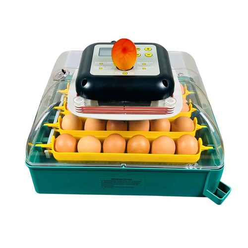 Inc24a automatic egg - ms,